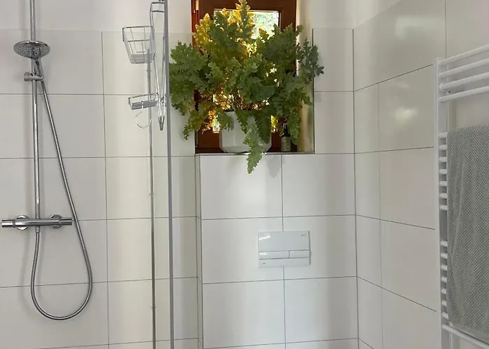Lägenhet Konopiste *